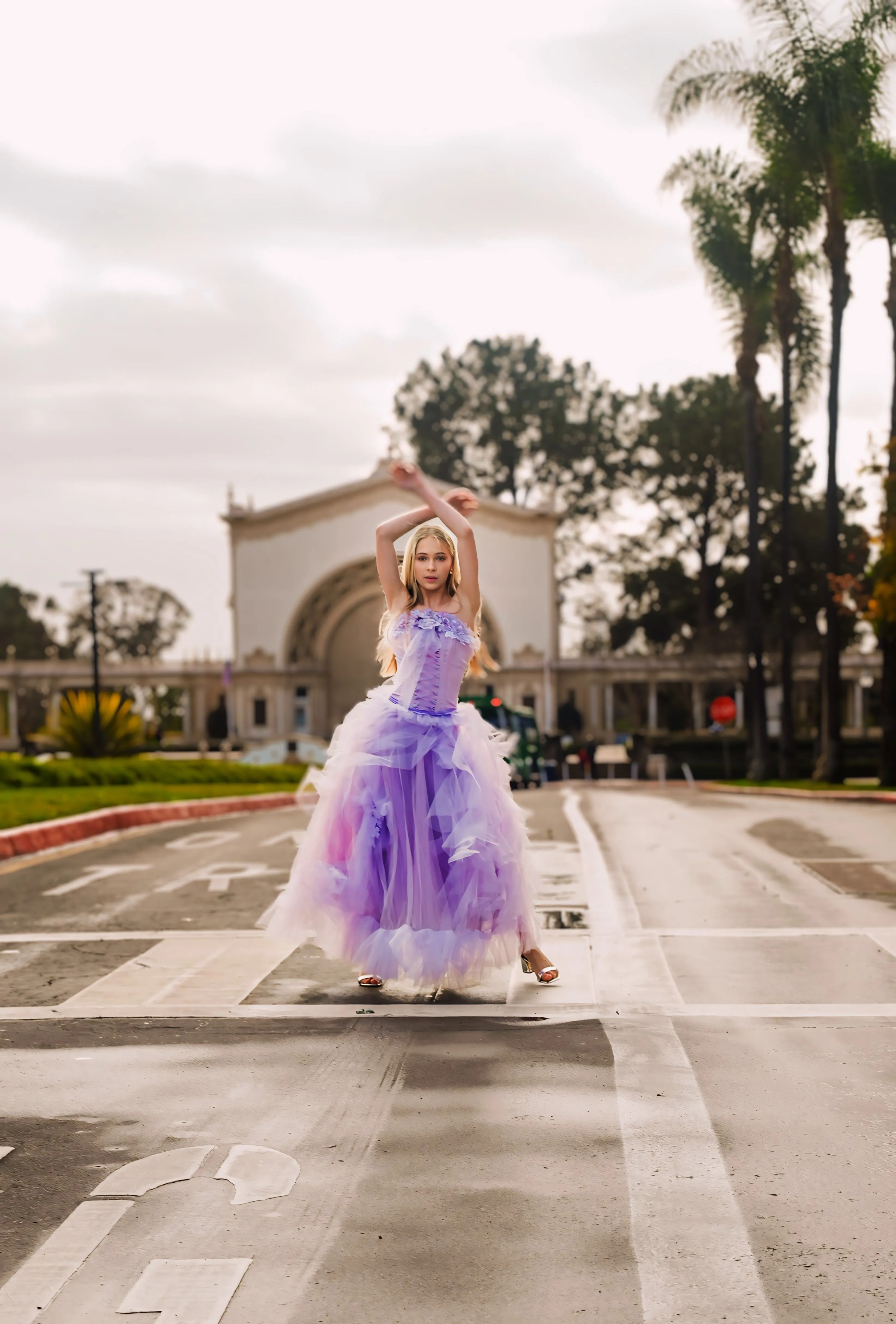 Corset and Tulle Chiffon Skirt - Maggie